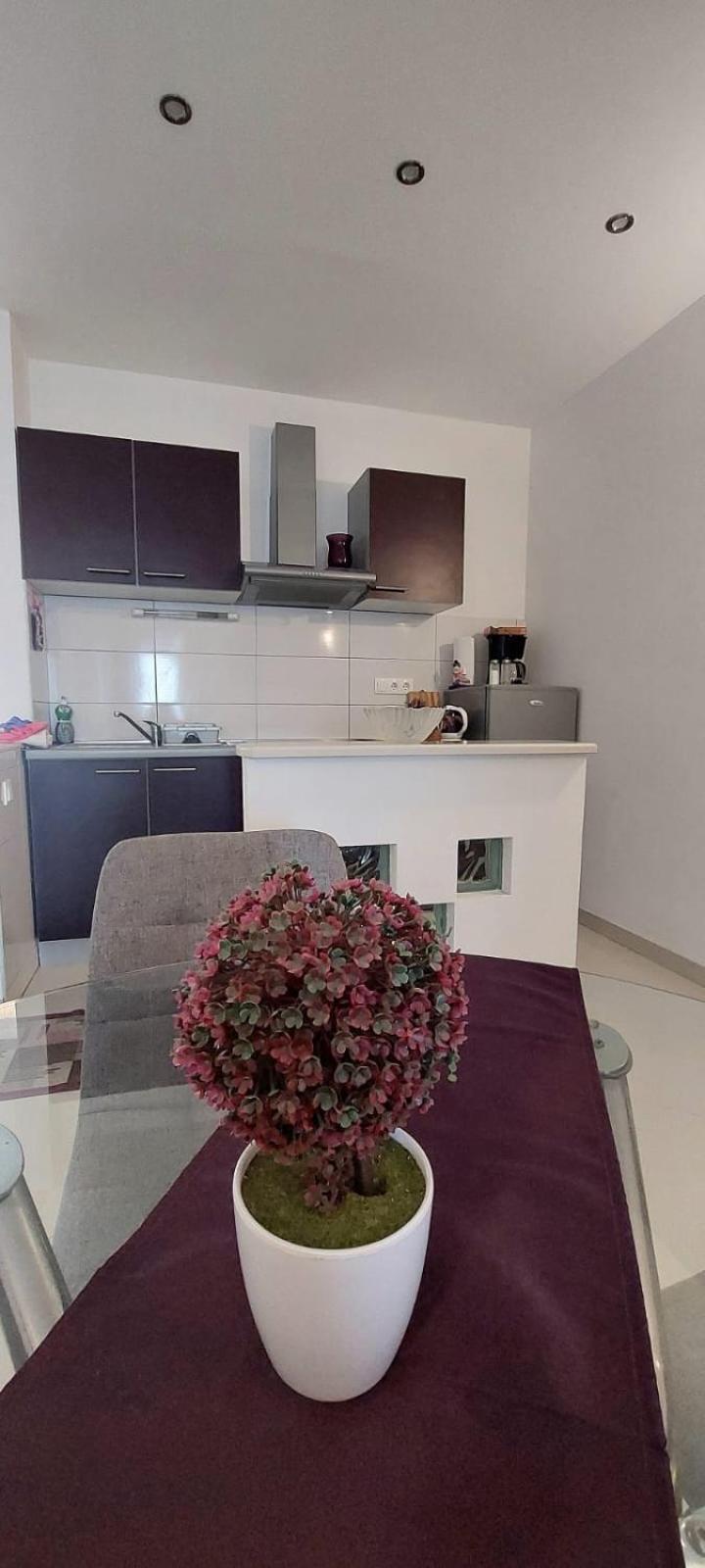 Apartament Mestral